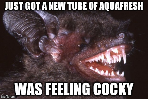 Cocky Bat | JUST GOT A NEW TUBE OF AQUAFRESH WAS FEELING COCKY | image tagged in cocky,aquafresh,bat,memes | made w/ Imgflip meme maker