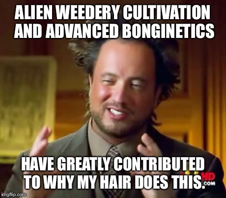 Ancient Aliens | ALIEN WEEDERY CULTIVATION AND ADVANCED BONGINETICS HAVE GREATLY CONTRIBUTED TO WHY MY HAIR DOES THIS. | image tagged in memes,ancient aliens | made w/ Imgflip meme maker