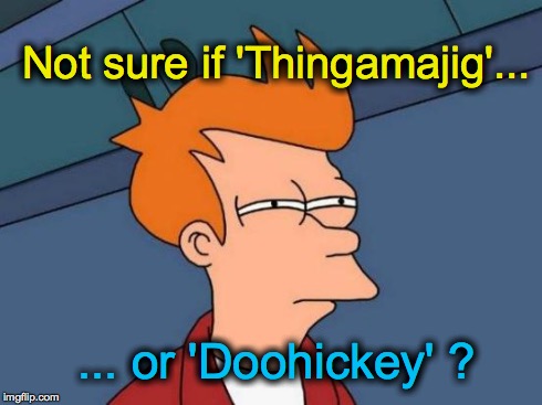 Futurama Fry Meme | Not sure if 'Thingamajig'... ... or 'Doohickey' ? | image tagged in memes,futurama fry | made w/ Imgflip meme maker