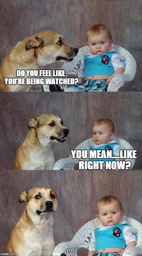 Dad Joke Dog | DO YOU FEEL LIKE YOU'RE BEING WATCHED? YOU MEAN....LIKE RIGHT NOW? | image tagged in memes,dad joke dog | made w/ Imgflip meme maker