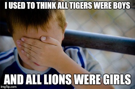 Confession Kid | I USED TO THINK ALL TIGERS WERE BOYS AND ALL LIONS WERE GIRLS | image tagged in memes,confession kid | made w/ Imgflip meme maker