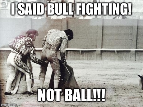 I SAID BULL FIGHTING! NOT BALL!!! | image tagged in bull | made w/ Imgflip meme maker