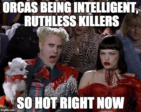Mugatu So Hot Right Now | ORCAS BEING INTELLIGENT, RUTHLESS KILLERS SO HOT RIGHT NOW | image tagged in memes,mugatu so hot right now,AdviceAnimals | made w/ Imgflip meme maker