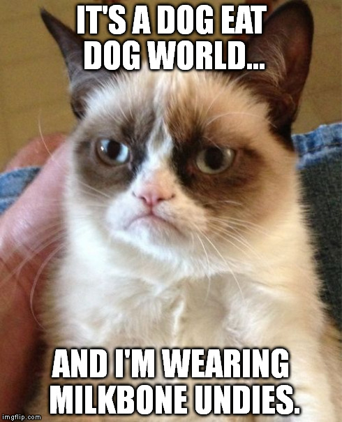 Grumpy Cat | IT'S A DOG EAT DOG WORLD... AND I'M WEARING MILKBONE UNDIES. | image tagged in memes,grumpy cat | made w/ Imgflip meme maker
