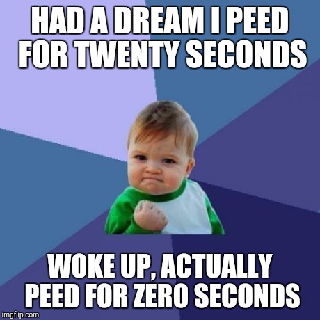 Success Kid | HAD A DREAM I PEED FOR TWENTY SECONDS WOKE UP, ACTUALLY PEED FOR ZERO SECONDS | image tagged in memes,success kid | made w/ Imgflip meme maker