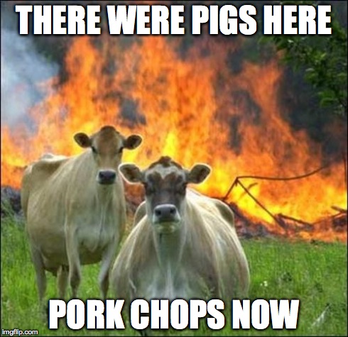 pork chops? get it? | THERE WERE PIGS HERE PORK CHOPS NOW | image tagged in memes,evil cows,pigs,cook | made w/ Imgflip meme maker