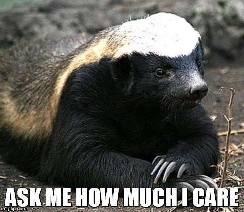 Honey badger | ASK ME HOW MUCH I CARE | image tagged in honey badger | made w/ Imgflip meme maker