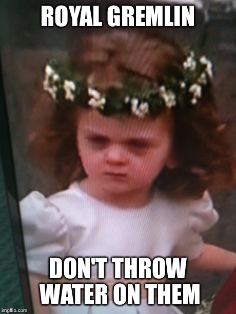 ROYAL GREMLIN DON'T THROW WATER ON THEM | image tagged in gremlin | made w/ Imgflip meme maker