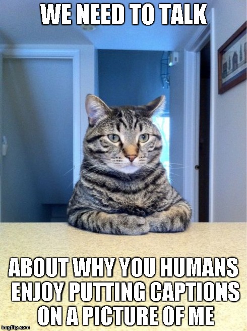 Take A Seat Cat | WE NEED TO TALK ABOUT WHY YOU HUMANS ENJOY PUTTING CAPTIONS ON A PICTURE OF ME | image tagged in memes,take a seat cat | made w/ Imgflip meme maker