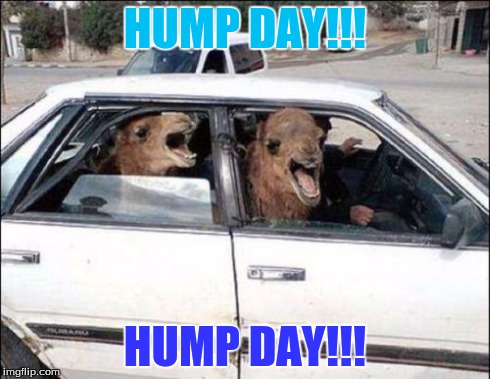 Quit Hatin | HUMP DAY!!! HUMP DAY!!! | image tagged in memes,quit hatin | made w/ Imgflip meme maker