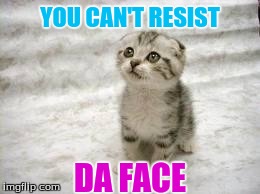 Sad Cat | YOU CAN'T RESIST DA FACE | image tagged in memes,sad cat | made w/ Imgflip meme maker