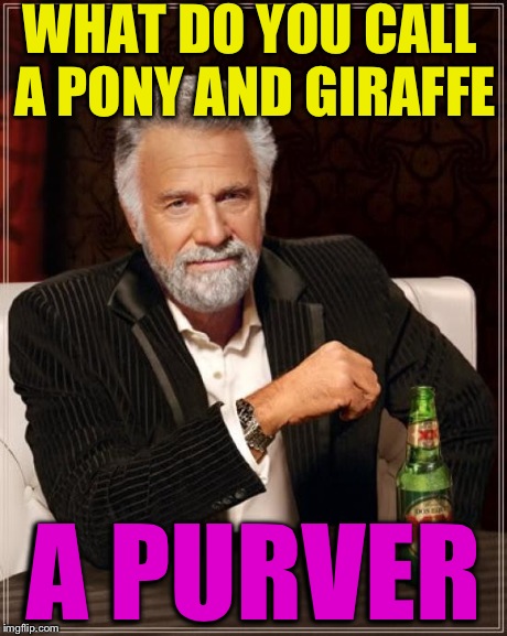 The Most Interesting Man In The World | WHAT DO YOU CALL A PONY AND GIRAFFE A PURVER | image tagged in memes,the most interesting man in the world | made w/ Imgflip meme maker
