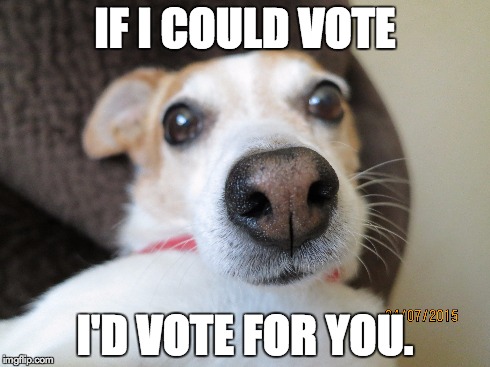 IF I COULD VOTE I'D VOTE FOR YOU. | made w/ Imgflip meme maker