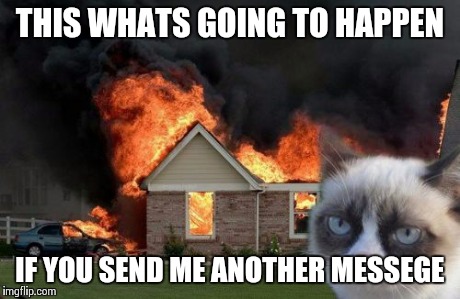 Burn Kitty | THIS WHATS GOING TO HAPPEN IF YOU SEND ME ANOTHER MESSEGE | image tagged in memes,burn kitty | made w/ Imgflip meme maker