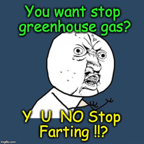 Y U No Meme | You want stop greenhouse gas? Y  U  NO Stop Farting !!? | image tagged in memes,y u no | made w/ Imgflip meme maker