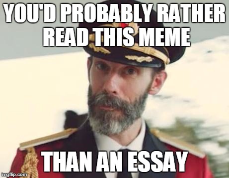 If you'd rather read an essay, we can't be friends | YOU'D PROBABLY RATHER READ THIS MEME THAN AN ESSAY | image tagged in memes,captain obvious,essays | made w/ Imgflip meme maker