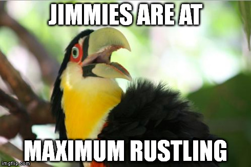 JIMMIES ARE AT MAXIMUM RUSTLING | image tagged in maximum jimmy rustling | made w/ Imgflip meme maker