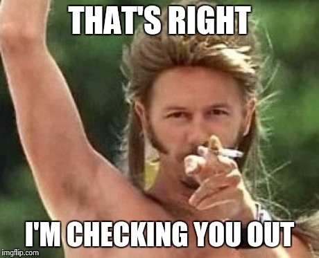 Joe dirt | THAT'S RIGHT I'M CHECKING YOU OUT | image tagged in joe dirt | made w/ Imgflip meme maker