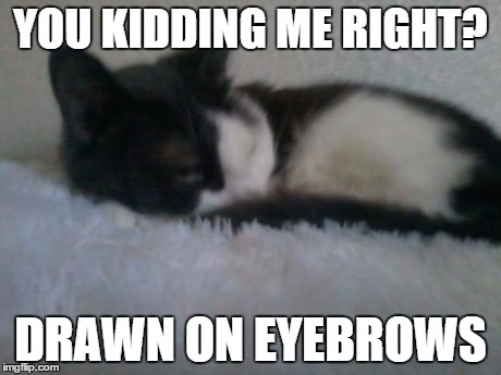 When people see a mugshot of an inmate with drawn on eyebrows the entire Facebook comments go nuts. | YOU KIDDING ME RIGHT? DRAWN ON EYEBROWS | image tagged in death stare,cats,i don't care | made w/ Imgflip meme maker