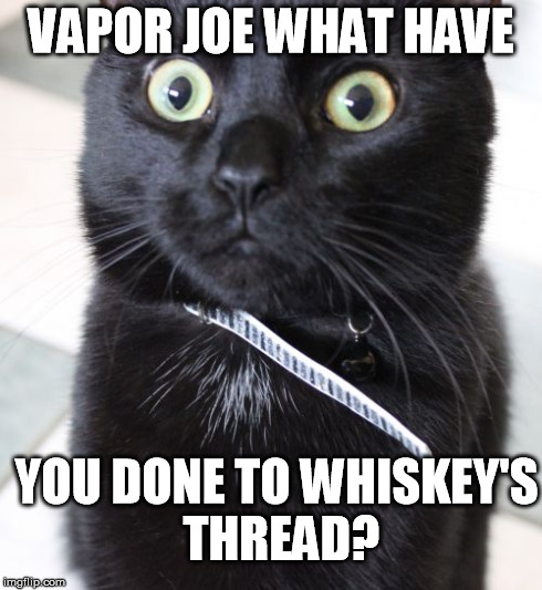 Woah Kitty Meme | VAPOR JOE WHAT HAVE YOU DONE TO WHISKEY'S THREAD? | image tagged in memes,woah kitty | made w/ Imgflip meme maker