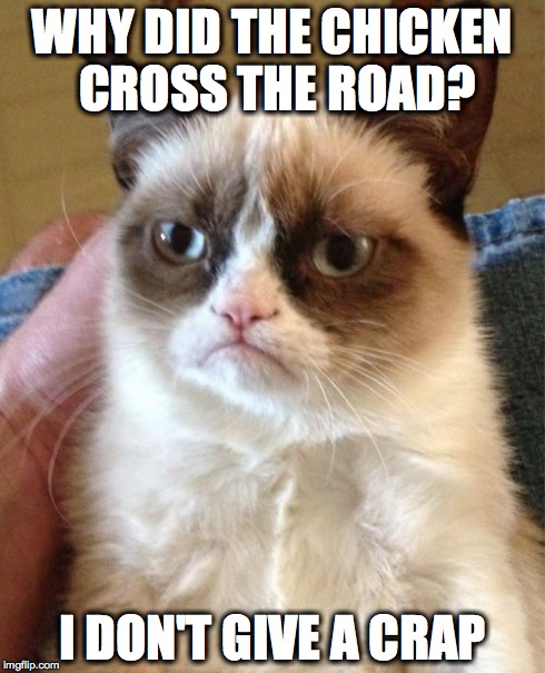 Grumpy Cat | WHY DID THE CHICKEN CROSS THE ROAD? I DON'T GIVE A CRAP | image tagged in memes,grumpy cat | made w/ Imgflip meme maker