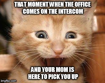 Excited Cat | THAT MOMENT WHEN THE OFFICE COMES ON THE INTERCOM AND YOUR MOM IS HERE TO PICK YOU UP | image tagged in excited cat | made w/ Imgflip meme maker