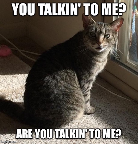 YOU TALKIN' TO ME? ARE YOU TALKIN' TO ME? | image tagged in honey | made w/ Imgflip meme maker