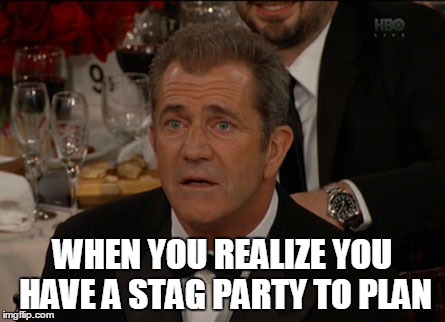 Confused Mel Gibson Meme | WHEN YOU REALIZE YOU HAVE A STAG PARTY TO PLAN | image tagged in memes,confused mel gibson | made w/ Imgflip meme maker