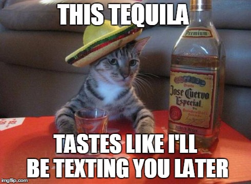 alcohol cat | THIS TEQUILA TASTES LIKE I'LL BE TEXTING YOU LATER | image tagged in alcohol cat | made w/ Imgflip meme maker