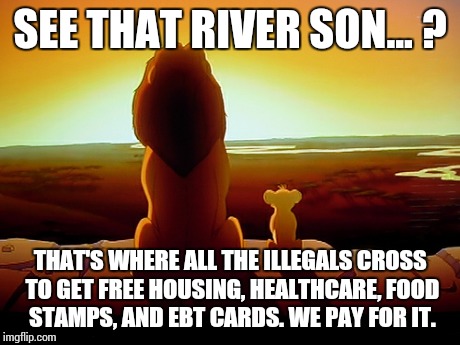 Lion King Meme | SEE THAT RIVER SON... ? THAT'S WHERE ALL THE ILLEGALS CROSS TO GET FREE HOUSING, HEALTHCARE, FOOD STAMPS, AND EBT CARDS. WE PAY FOR IT. | image tagged in memes,lion king | made w/ Imgflip meme maker