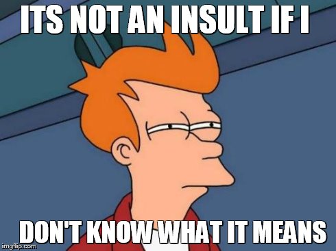 Futurama Fry | ITS NOT AN INSULT IF I DON'T KNOW WHAT IT MEANS | image tagged in memes,futurama fry | made w/ Imgflip meme maker