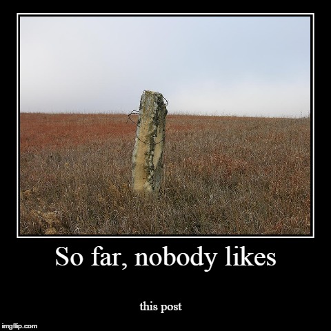 No likes. | image tagged in funny,demotivationals,post | made w/ Imgflip demotivational maker