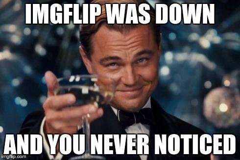 Leonardo Dicaprio Cheers | IMGFLIP WAS DOWN AND YOU NEVER NOTICED | image tagged in memes,leonardo dicaprio cheers,imgflip down | made w/ Imgflip meme maker