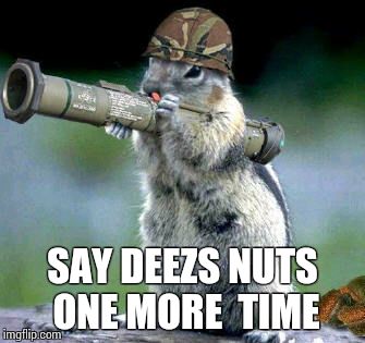 Bazooka Squirrel | SAY DEEZS NUTS ONE MORE  TIME | image tagged in memes,bazooka squirrel | made w/ Imgflip meme maker
