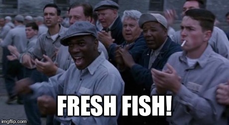 FRESH FISH! | image tagged in fredh fish | made w/ Imgflip meme maker