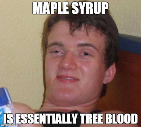 10 Guy | MAPLE SYRUP IS ESSENTIALLY TREE BLOOD | image tagged in memes,10 guy,AdviceAnimals | made w/ Imgflip meme maker