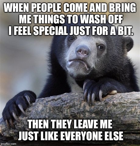 Confession Bear | WHEN PEOPLE COME AND BRING ME THINGS TO WASH OFF I FEEL SPECIAL JUST FOR A BIT. THEN THEY LEAVE ME JUST LIKE EVERYONE ELSE | image tagged in memes,confession bear,AdviceAnimals | made w/ Imgflip meme maker