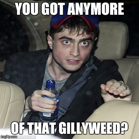 Harry Needs A Fix | YOU GOT ANYMORE OF THAT GILLYWEED? | image tagged in harry potter crazy,memes | made w/ Imgflip meme maker