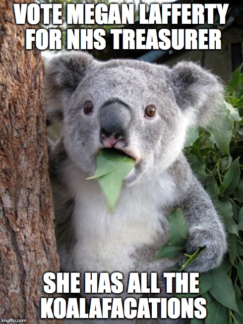 Surprised Koala Meme | VOTE MEGAN LAFFERTY FOR NHS TREASURER SHE HAS ALL THE KOALAFACATIONS | image tagged in memes,surprised koala | made w/ Imgflip meme maker