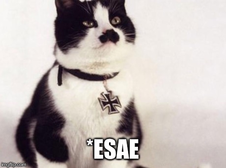 Nazi cat | *ESAE | image tagged in nazi cat | made w/ Imgflip meme maker