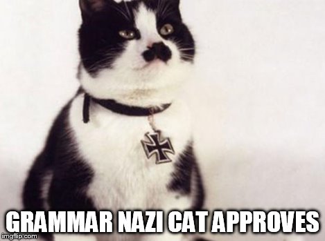 Nazi cat | GRAMMAR NAZI CAT APPROVES | image tagged in nazi cat | made w/ Imgflip meme maker