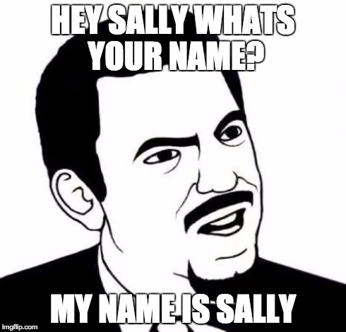 Seriously Face | HEY SALLY WHATS YOUR NAME? MY NAME IS SALLY | image tagged in memes,seriously face | made w/ Imgflip meme maker