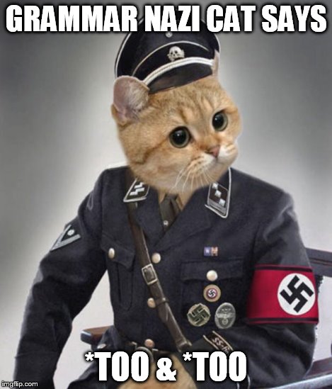 Nazi cat in uniform | GRAMMAR NAZI CAT SAYS *TOO & *TOO | image tagged in nazi cat in uniform | made w/ Imgflip meme maker