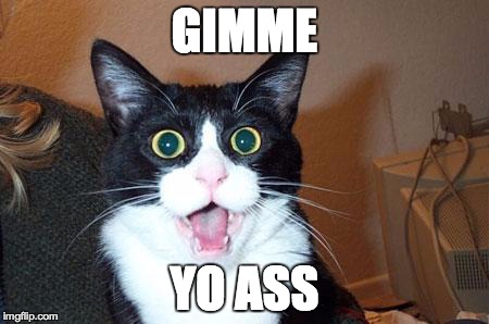 GIMME YO ASS | image tagged in wide eye cat | made w/ Imgflip meme maker