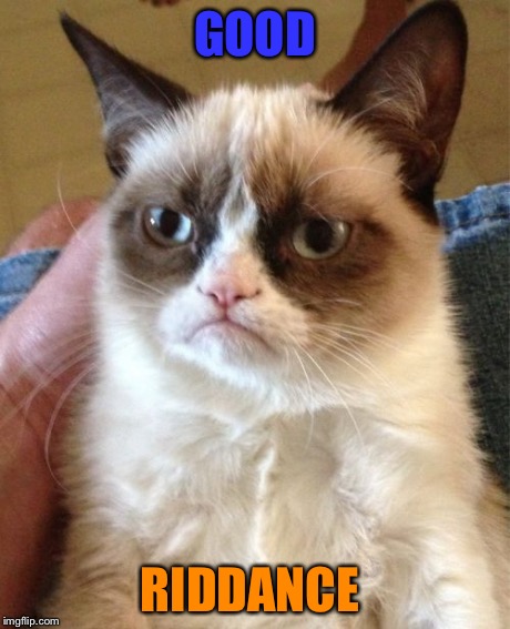 Grumpy Cat Meme | GOOD RIDDANCE | image tagged in memes,grumpy cat | made w/ Imgflip meme maker