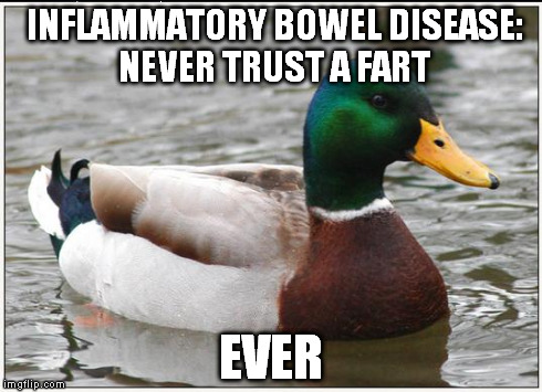 Actual Advice Mallard Meme | INFLAMMATORY BOWEL DISEASE: NEVER TRUST A FART EVER | image tagged in memes,actual advice mallard | made w/ Imgflip meme maker
