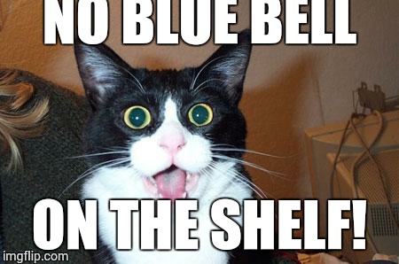 NO BLUE BELL ON THE SHELF! | image tagged in wide eye cat | made w/ Imgflip meme maker