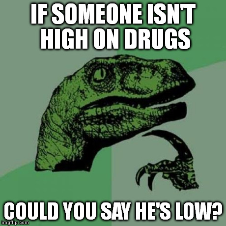 Philosoraptor | IF SOMEONE ISN'T HIGH ON DRUGS COULD YOU SAY HE'S LOW? | image tagged in memes,philosoraptor | made w/ Imgflip meme maker