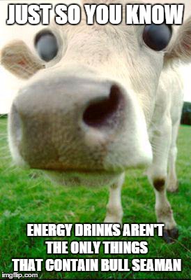 Scary Cow | JUST SO YOU KNOW ENERGY DRINKS AREN'T THE ONLY THINGS THAT CONTAIN BULL SEAMAN | image tagged in scary cow | made w/ Imgflip meme maker