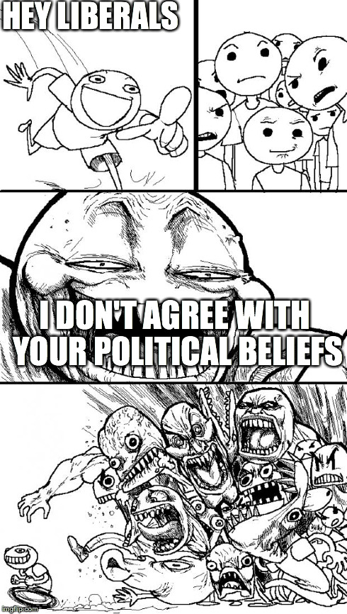 Hey Internet | HEY LIBERALS I DON'T AGREE WITH YOUR POLITICAL BELIEFS | image tagged in memes,hey internet | made w/ Imgflip meme maker